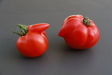 Tomates du jardin
