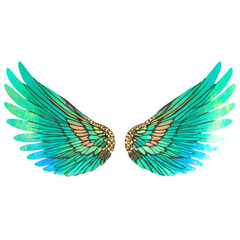 Obraz premium wings isolated on a transparent background