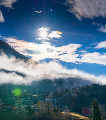 Mist and Shadows Over Norwegian Forest in Spring