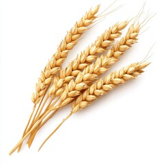 grain ripe on field, photoreal