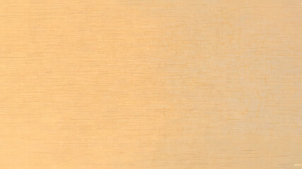Light Tan Paper Texture
