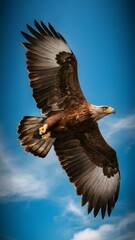 Obraz premium Round Winged Eagle Flying on Blue Sky Background, Photo Realistic, Pattern Background, Wallpaper, Cover and Screen for Smartphone, Cell Phone, Computer, Laptop