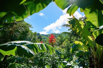 Lush Tropical Jungle