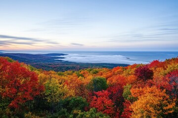 Autumn Forest Overlook