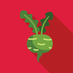 This colorful vector icon features a green kohlrabi vegetable with long shadow on a red background