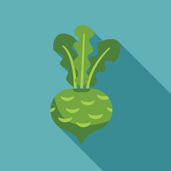 Green kohlrabi vegetable with leaves is shown growing on a blue background