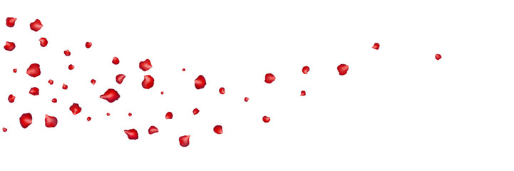 Flying red petals transparent background. Beautiful floral overlay with lots of rose petals.