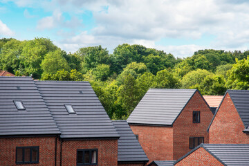 New Residential Homes Nestled Among Lush Greenery on Sunny Day