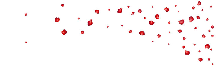Flying red petals transparent background. Beautiful floral overlay with lots of rose petals.