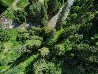 Drone flight in the mountains taking pictures of fir trees, river and road in Jiet, Hunedoara Romania