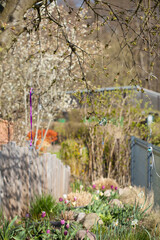 Schutzschrein mit Gartendeko