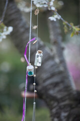 Flaschenpost am Baum