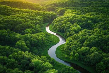 Sunlit Forest River