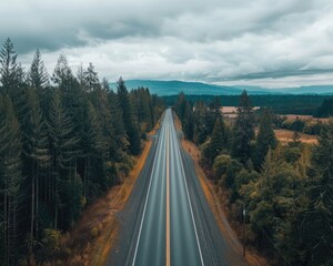 Obraz premium State highway bordered by trees and fields representing freedom and adventure