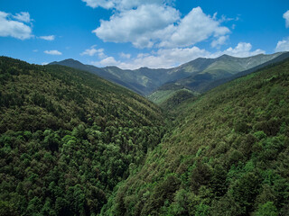 Naklejka premium Flying with a drone in the mountains, taking pictures of fir trees, Maria (Mary) river and Marii waterfall in the Retezat Mountains in Uricani, Hunedoara Romania