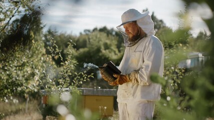 Beekeeper examines hive records in sunny apiary during early morning hours