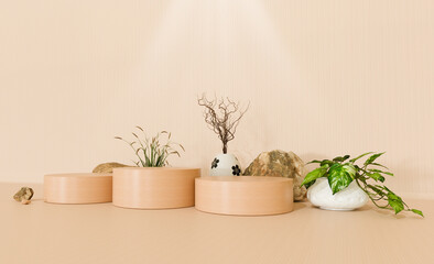 3D product podium cylinder nature and rock background indoor podium wooden texture design element modern advertising bright wooden color background template
