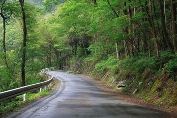 Fototapeta premium A winding road through a lush, green forest with wet pavement, creating a peaceful and tranquil atmosphere.