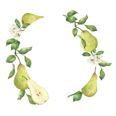 Green pear with flower and leaves watercolor wreath illustration isolated on white. Hand drawn blooming fruit tree and slice label template with copy space for text