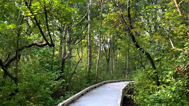 Sandy Point Reservation Boardwalk View
