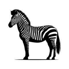 Zebra silhouette, vector black color silhouette solid white background