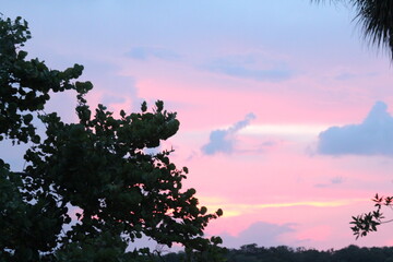 Pink sunset over the lake in South Florida