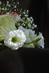 white flower on black background