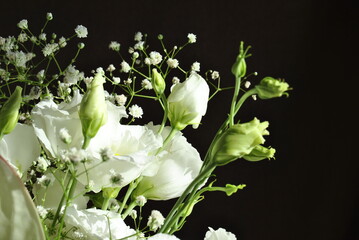 white flowers in the garden