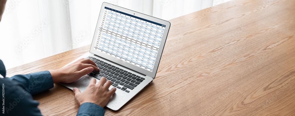 Poster accounting software on computer screen showing financial statement spreadsheets and account balance 