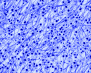 Gothic style seamless pattern with soft blurry poppies flowers. Halloween themed graphic print for clothing, fabric, wallpaper, home decor, wrapping paper