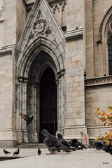 sestieri square city