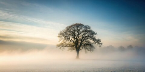 Single tree shrouded in mist, nature, foggy, atmospheric, calm, peaceful, tranquil, lonely, isolated, serene, misty