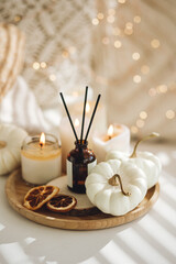 Autumn cozy mood composition on the windowsill. Aroma diffuser, pumpkins, dry citrus, candles on wooden tray, knitted warm plaid. Fall hygge home decor, aromatherapy. Copy space, white background