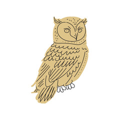 sitting owl vector illustration isolated	