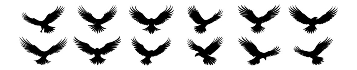 Eagle silhouettes set, pack of vector silhouette design, isolated background