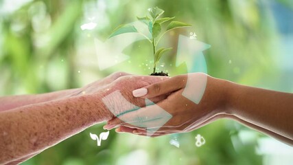 People, hands and plant with overlay in support for agriculture, sustainability or green farming. Future, innovation and women with sprout in nature for agroecology help, environment and conservation