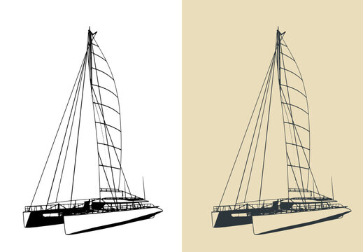 Large sailing catamaran illustrations