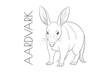 Illustration of a Animal - Aardvark, Mammalia