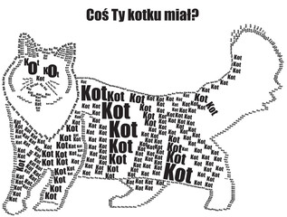 Kot © Marcin