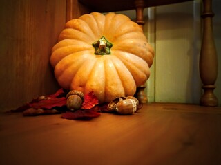 Herbstdekoration - Kürbis, bunte Blätter, Eicheln