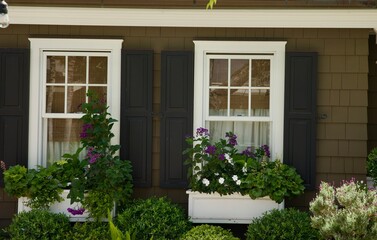 beach cottage with flower box decor