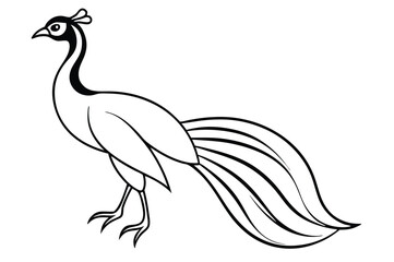 peacock style rangoli design vector silhouette 
