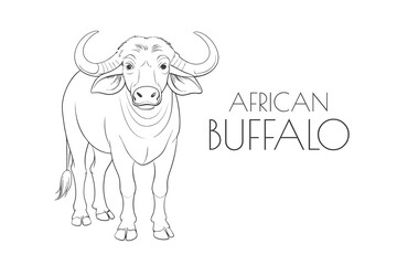 Illustration of a Animal - African Buffalo, Mammalia