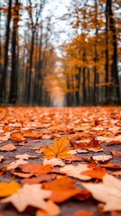Vibrant autumn scene with fallen orange leaves covering a tranquil forest path, showcasing nature's beauty in the fall season.