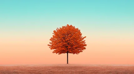 Ingelijste posters Ziekenhuis A vibrant autumn tree stands alone against a soothing gradient sky, capturing the beauty of nature's colorful transition.  © Suritong