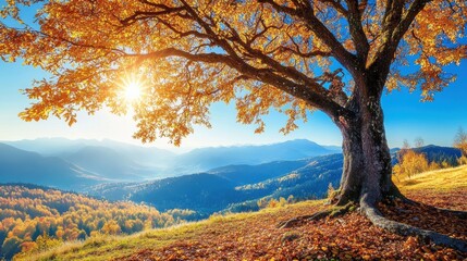 Fototapeta premium A tree with a sun shining through it on the side of a mountain, AI