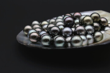 Expensive and luxurious Tahiti black pearls in a white shell on black background, ready to be made into earrings, pendants or necklaces and sold in jewelry store.