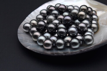 Expensive and luxurious Tahiti black pearls in a white shell on black background, ready to be made...