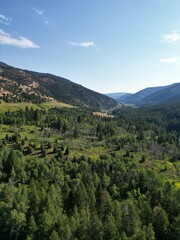 Landscape with mountains and forest