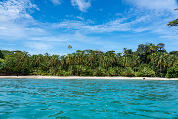 Tropical Beach Paradise with Palm Trees and Rocky Coastline in the caribbean Islands, Featuring...